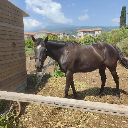 Etna Country
